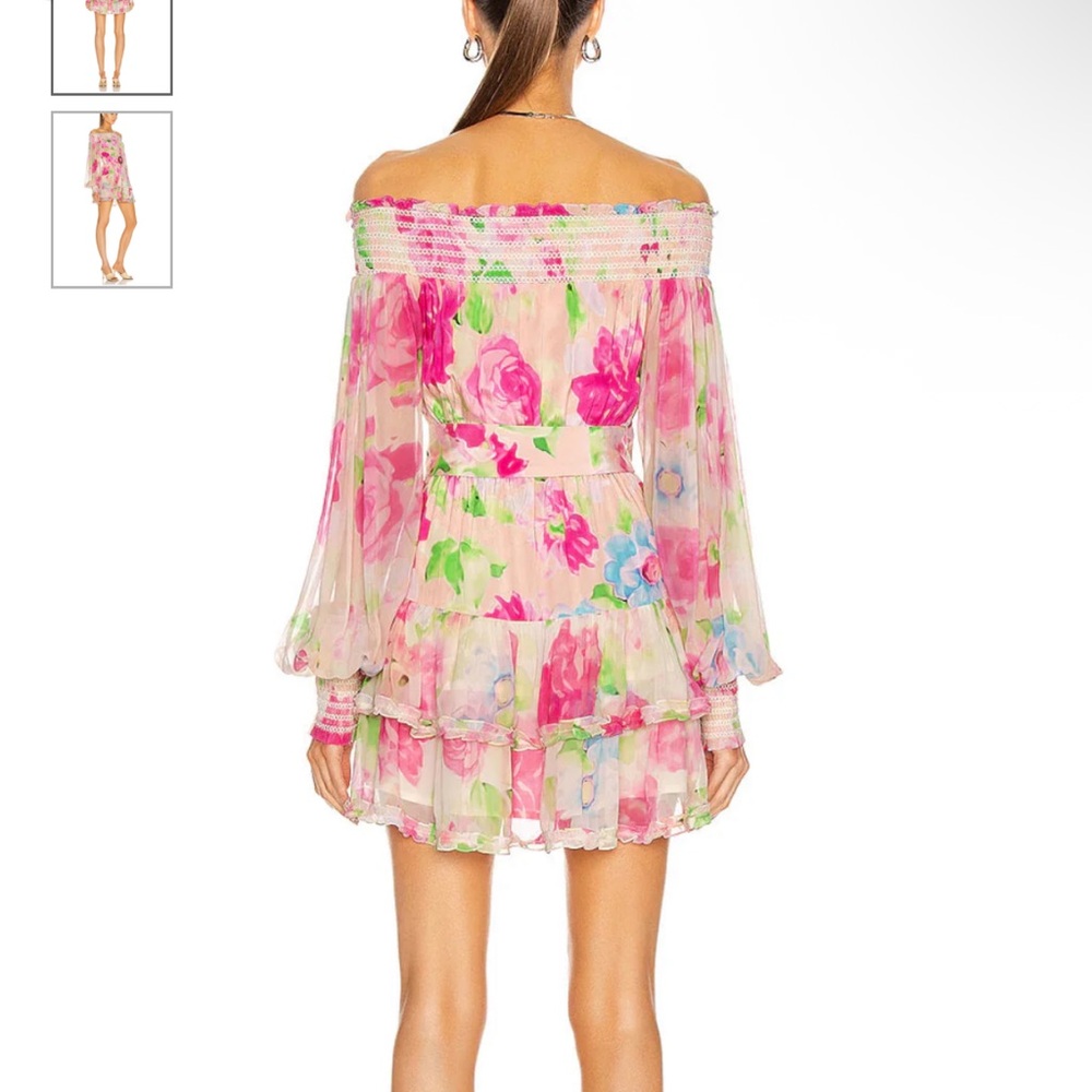 Rococo Sand Alora Multi-Color Mini Dress - Picture 11 of 13